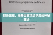 探寻耶鲁之光，一窥全球顶尖学府的深邃魅力