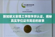 新加坡义安理工学院学位认证探秘，揭开学历证书背后的传奇故事