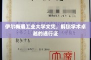 解锁学术巅峰，伊尔梅瑙工业大学文凭，成就非凡之路