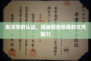 解码东洋学府文凭，探寻不为人知的学术魅力