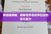 斯坦福光环下的学位证，探索顶尖学府的神秘魅力