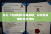 法国威勒高等商学院，揭秘卓越学术成就背后的秘密力量