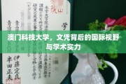 澳门科技大学，跨国界教育，铸就全球视野与卓越学术成就