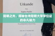 台湾阳明大学学位证，探寻非凡学历背后的光芒