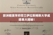 荷兰伊拉斯姆斯大学，揭秘精英学府的卓越成绩单背后的秘密