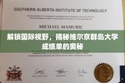 探秘国际学府，揭秘维尔京群岛大学成绩单背后的秘密