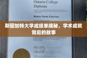 斯图加特大学成绩单揭秘，学术成就背后的故事