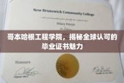 哥本哈根工程学院，全球认可，毕业证书背后的非凡魅力