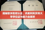 解码丹麦利利贝特大学，欧洲名校学位证书的独特魅力