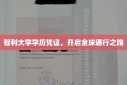 智利学历通行证，全球职场无缝对接新选择