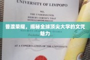 文凭之光，全球顶尖学府的荣耀与魅力揭秘