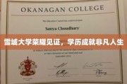 雪城荣耀，学历巅峰，成就非凡人生轨迹
