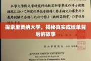 里贾纳大学成绩单，揭开隐藏的学术传奇