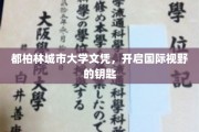 都柏林城大文凭，解锁全球视野新篇章