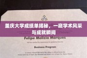 釜庆大学成绩单揭秘，一窥学术风采与成就瞬间