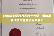 解码丹麦西兰大学，揭秘非凡成绩单背后的学术魅力