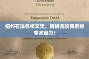 解码石溪精英，纽约名校文凭背后的学术风采