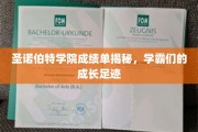 解码圣诺伯特学霸圈，揭秘成绩单背后的成长轨迹