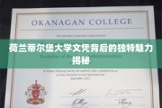 荷兰蒂尔堡大学学位，探寻非凡教育背后的故事与价值