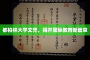 都柏林大学文凭引领全球教育革新之旅
