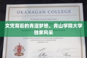文凭背后的青涩梦想，青山学院大学独家风采