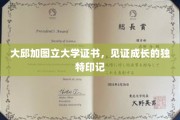 青春足迹，大邱加图立大学证书，铭刻成长非凡印记