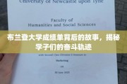 布兰登大学成绩单里的青春足迹，学子奋斗之路全解析