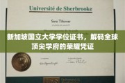 新加坡国立大学学位证书，解码国际精英教育的象征