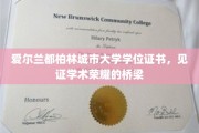 都柏林城市大学学位证书，铸就学术辉煌的通行证
