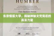 解码东京情报大学，揭秘文凭背后的非凡影响力