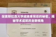 斯旺西大学成绩单揭秘，探寻学术成就的隐藏维度