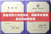 埃塞克斯大学成绩单，揭秘学术成就背后的秘密世界
