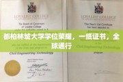 全球认可，都柏林城大学学位证书，开启无限可能