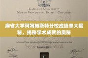 解码麻省大学阿姆赫斯特分校成绩单，探索学术卓越背后的秘密
