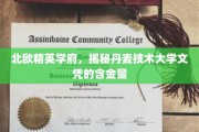 丹麦技术大学文凭，北欧精英学府的含金量揭秘之旅