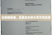伯明翰之光，揭秘文凭背后的真实传奇