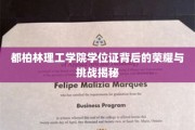 解码都柏林理工学院学位证的辉煌历程，荣耀与挑战并存