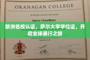 跨国学历通行证，萨尔大学学位证，解锁全球职业新天地