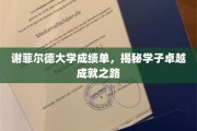 解码谢菲尔德学子卓越之路，揭秘成绩单背后的故事