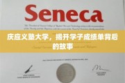解码庆应学子，揭开辉煌成绩背后的秘密世界