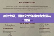 德比大学文凭深度解析，探寻学术成就的真正价值与影响力