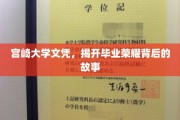 宫崎荣耀背后，揭秘宫崎大学文凭背后的传奇历程