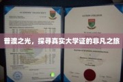 校园之光，揭秘大学证的神秘面纱之旅