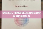 解码高知工程师，探索学历光环背后的独特价值与无限可能