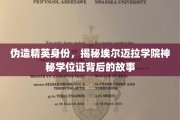 身份伪造风云，揭秘埃尔迈拉学院神秘学位证的真相面纱