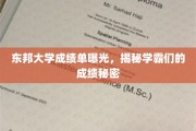 东邦学霸风云录，一窥高分背后的神秘成绩奥秘