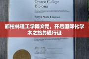 国际学术大门的钥匙，都柏林理工学院文凭的魅力