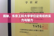 东京工科大学学位证，探寻其背后的学术光芒与独特魅力
