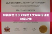 探秘荷兰代尔夫特理工，揭秘学位证背后的非凡历程