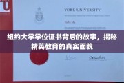 纽约大学文凭背后，解码精英教育世界的秘密面纱